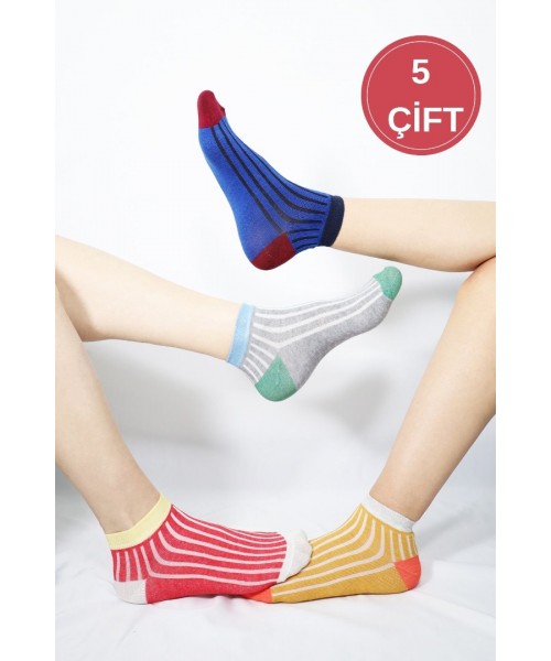 5 Çift Pamuklu Basic Derbili Kadın Çorap
