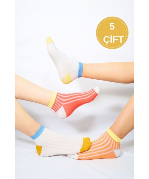  5 Çift Pamuklu Basic Derbili Kadın Çorap